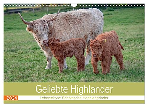 Geliebte Highlander (Wandkalender 2024 DIN A3 quer), CALVENDO Monatskalender
