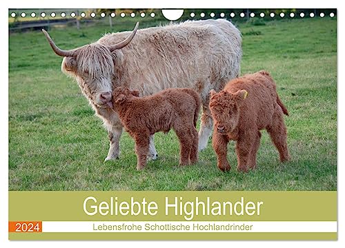 Geliebte Highlander (Wandkalender 2024 DIN A4 quer), CALVENDO Monatskalender von CALVENDO