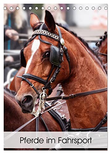 Pferde im Fahrsport (Tischkalender 2024 DIN A5 hoch), CALVENDO Monatskalender von CALVENDO