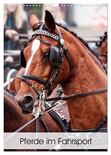 Pferde im Fahrsport (Wandkalender 2024 DIN A3 hoch), CALVENDO Monatskalender