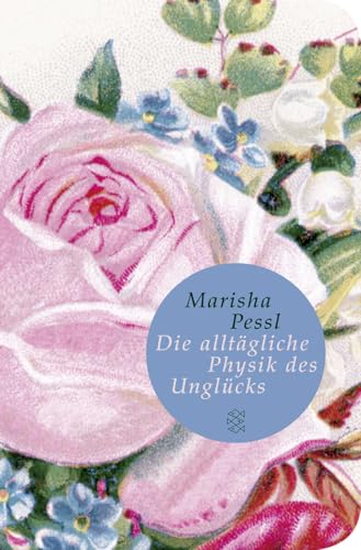 Die alltägliche Physik des Unglücks: Roman