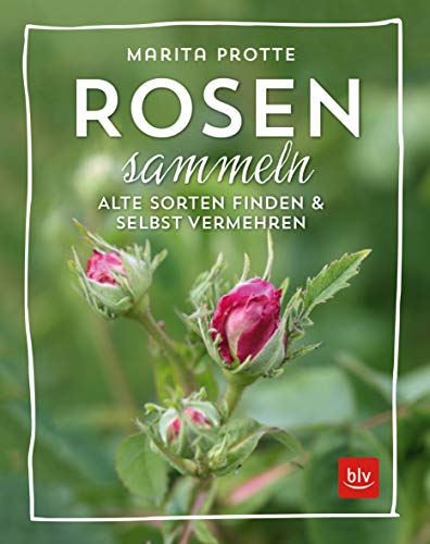 Rosen sammeln: Alte Rosen finden & vermehren (BLV Pflanzenpraxis) von Gräfe und Unzer