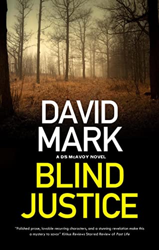 Blind Justice (The DS Aector McAvoy, 10)