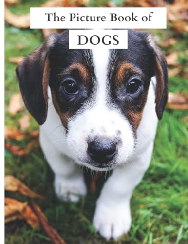The Picture Book of Dogs von Independently published