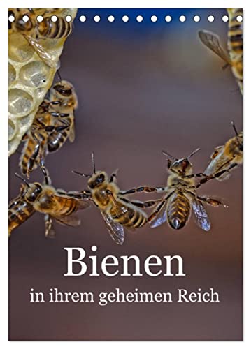 Bienen in ihrem geheimen Reich (Tischkalender 2024 DIN A5 hoch), CALVENDO Monatskalender: Die Geheimnisse des Bienenstocks von CALVENDO