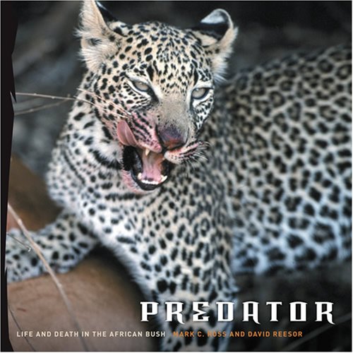 Predator: Life and Death in the African Bush von Harry N. Abrams