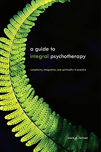 A Guide to Integral Psychotherapy: Complexity, Integration, and Spirituality in Practice (SUNY series in Integral Theory)