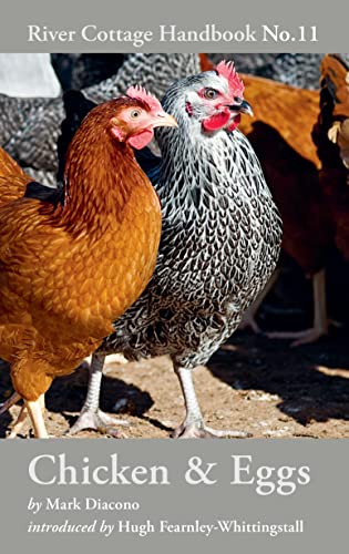 Chicken & Eggs: River Cottage Handbook No.11 von Bloomsbury