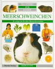 Haustiere für Kinder. Meerschweinchen Haustiere für Kinder. Meerschweinchen