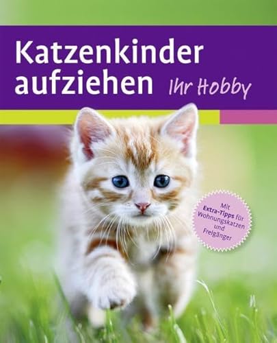Katzenkinder aufziehen: Ein praktischer Ratgeber für das erste Lebensjahr von Ulmer Eugen Verlag