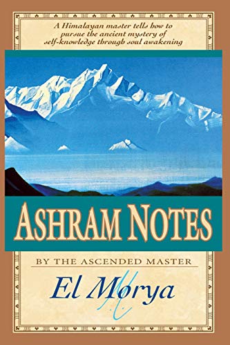 Ashram Notes von Wipf & Stock Publishers
