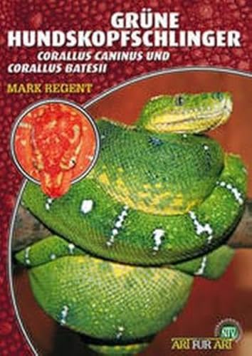 Grüne Hundskopfschlinger: Corallus caninus und Corallus batesii (Buchreihe Art für Art Terraristik) von NTV Natur und Tier-Verlag