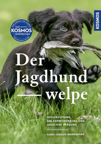 Der Jagdhundwelpe von Kosmos