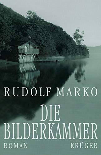 Die Bilderkammer: Roman