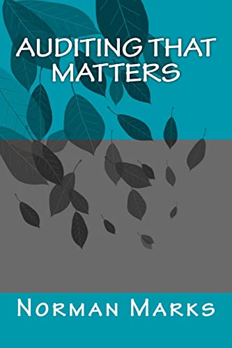Auditing that matters von CREATESPACE