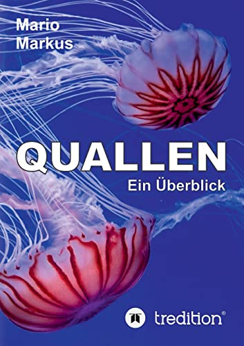 Quallen: Ein Überblick