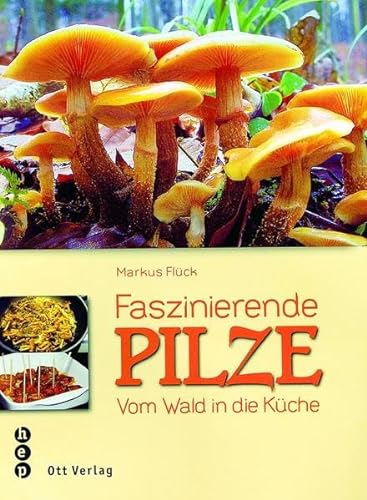 Faszinierende Pilze: Vom Wald in die Küche von Ott Verlag