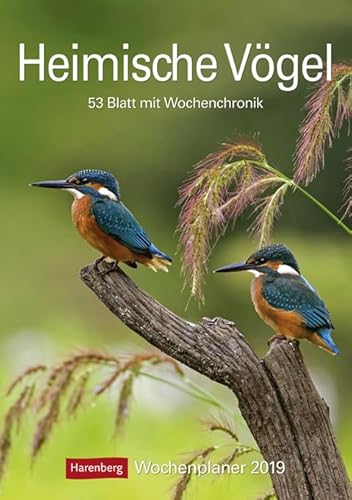 Heimische Vögel Wochenplaner 2024. Wochenkalendarium, Infos zu den porträtierten Vogelarten und viel Platz für Termine in dem praktischen Wand-Kalender 2024 zum Eintragen: 53 Blatt mit Wochenchronik Heimische Vögel Wochenplaner 2024. Wochenkalendarium, Infos zu den porträtierten Vogelarten und viel Platz für Termine in dem praktischen Wand-Kalender 2024 zum Eintragen: 53 Blatt mit Wochenchronik