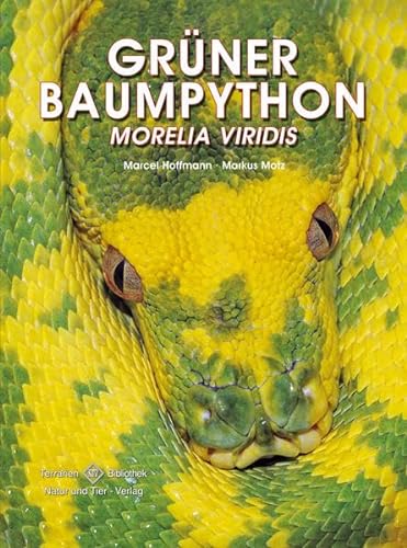 Grüner Baumpython: Morelia viridis (Terrarien-Bibliothek)