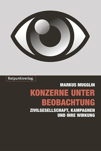 Konzerne unter Beobachtung: Was NGO-Kampagnen bewirken können von Rotpunktverlag