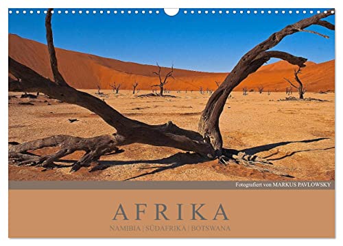 Afrika Impressionen. NAMIBIA - SÜDAFRIKA - BOTSWANA (Wandkalender 2024 DIN A3 quer), CALVENDO Monatskalender von CALVENDO