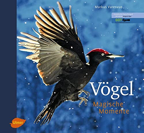 Vögel - Magische Momente: Europäischer Naturfotograf des Jahres: Kategorie Vögel von Ulmer Eugen Verlag