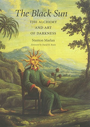 The Black Sun: The Alchemy and Art of Darkness (Carolyn and Ernest Fay Series in Analytical Psychology) von Texas A&M University Press