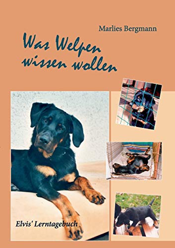 Was Welpen wissen wollen: Elvis' Lerntagebuch