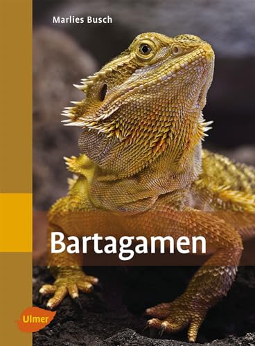 Bartagamen