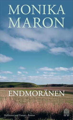Endmoränen: Roman
