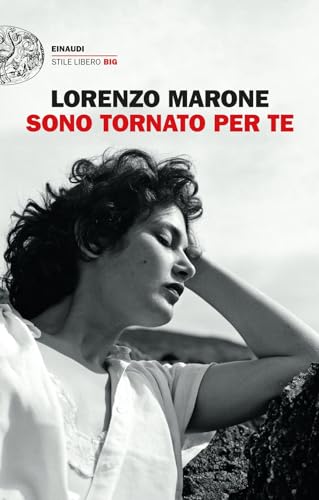 Sono tornato per te (Einaudi. Stile libero big)