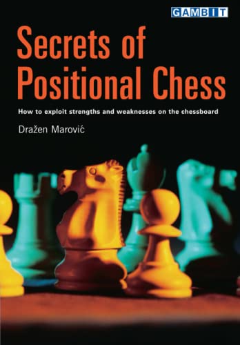 Secrets of Positional Chess von Gambit Publications