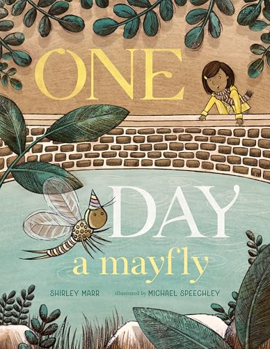 One Day a Mayfly von Candlewick Press (MA)