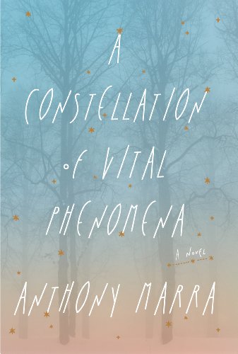 A Constellation of Vital Phenomena (Thorndike Press Large Print Reviewers' Choice)