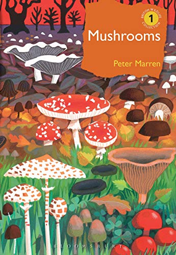 Mushrooms: The natural and human world of British fungi (British Wildlife Collection, Band 1) von Bloomsbury