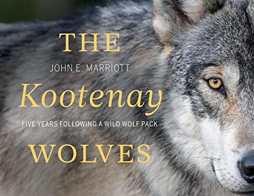 The Kootenay Wolves: Five Years Following a Wild Wolf Pack von Rocky Mountain Books