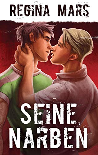 Seine Narben: Gay Romance