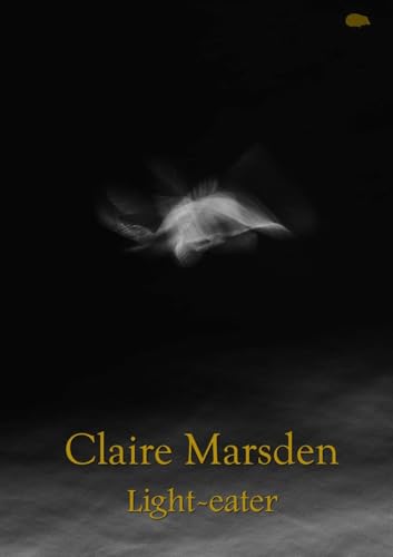 Light-eater von The Hedgehog Poetry Press