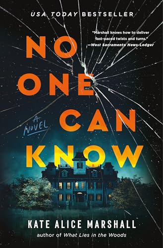 No One Can Know: A Novel