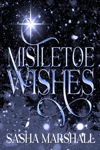 Mistletoe Wishes: A Small town, Workplace, Holiday Romance von Independently published