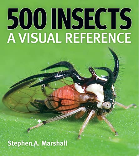 500 Insects: A Visual Reference (Firefly Visual Reference) von Firefly Books