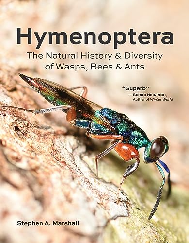 Hymenoptera: The Natural History and Diversity of Wasps, Bees and Ants von Firefly Books