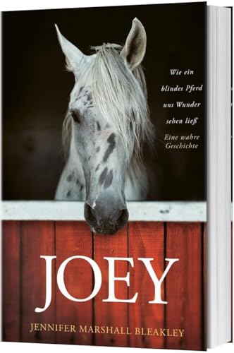 Joey - Wie ein blindes Pferd uns Wunder sehen ließ: Eine wahre Geschichte