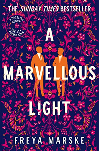 A Marvellous Light: a dazzling, queer romantic fantasy (The Last Binding, 1)