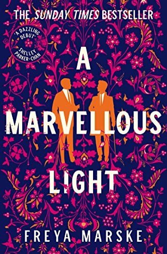 A Marvellous Light: a dazzling, queer romantic fantasy (The Last Binding, 1) von Tor