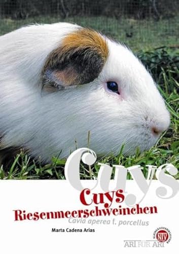 Cuys - Riesenmeerschweinchen: Cavia aperea f. porcellus: Art für Art (Buchreihe Art für Art Kleinsäuger)