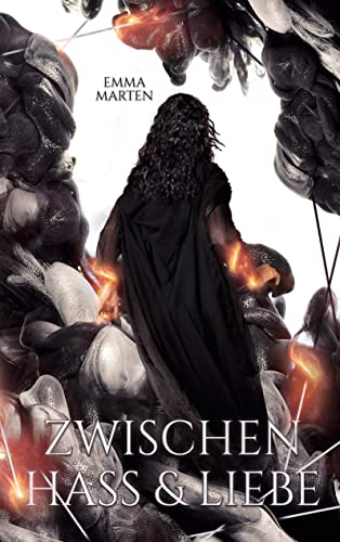 Zwischen Hass und Liebe (Dazwischen, Band 2) von Books on Demand GmbH