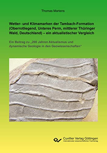 Wetter- und Klimamarken der Tambach-Formation (Oberrotliegend, Unteres Perm, mittlerer Thüringer Wald, Deutschland) – ein aktualistischer Vergleich: ... dynamische Geologie in den Geowissenschaften“