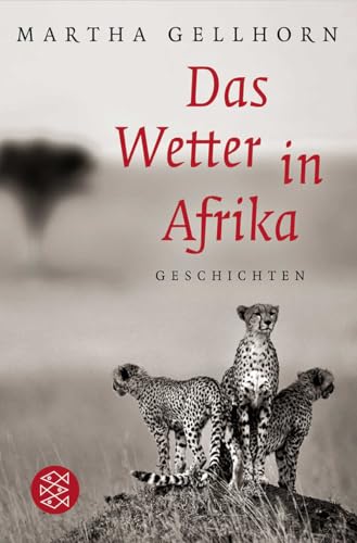 Das Wetter in Afrika: Novellen von FISCHERVERLAGE