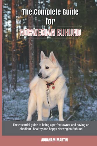 The Complete Guide for Norwegian Buhund: The essential guide to being a perfect owner and having an obedient, healthy, and happy Norwegian Buhund von Independently published